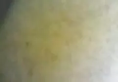 Bellezza veri video amatoriali italiani scambio cooney e anilingus con amico in posa 69